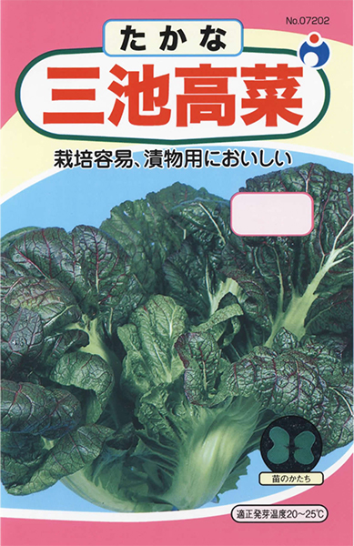 三池高菜 15キロ